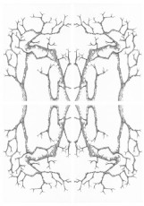 Document 5543